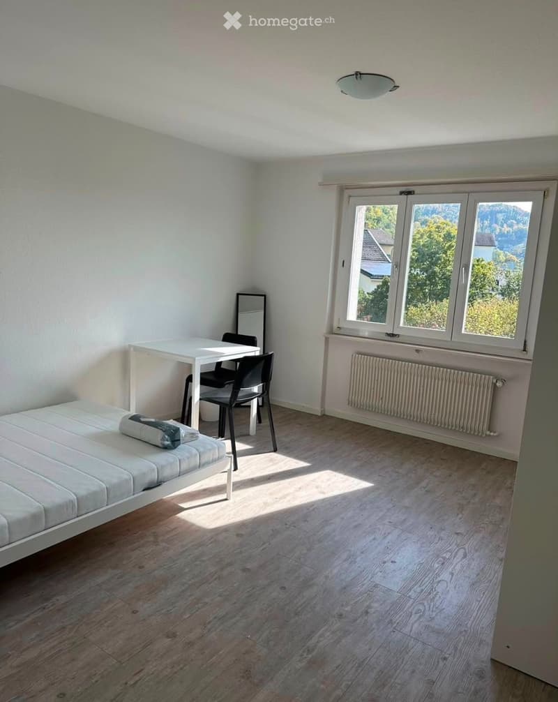 Zimmer in Klingnau (1)