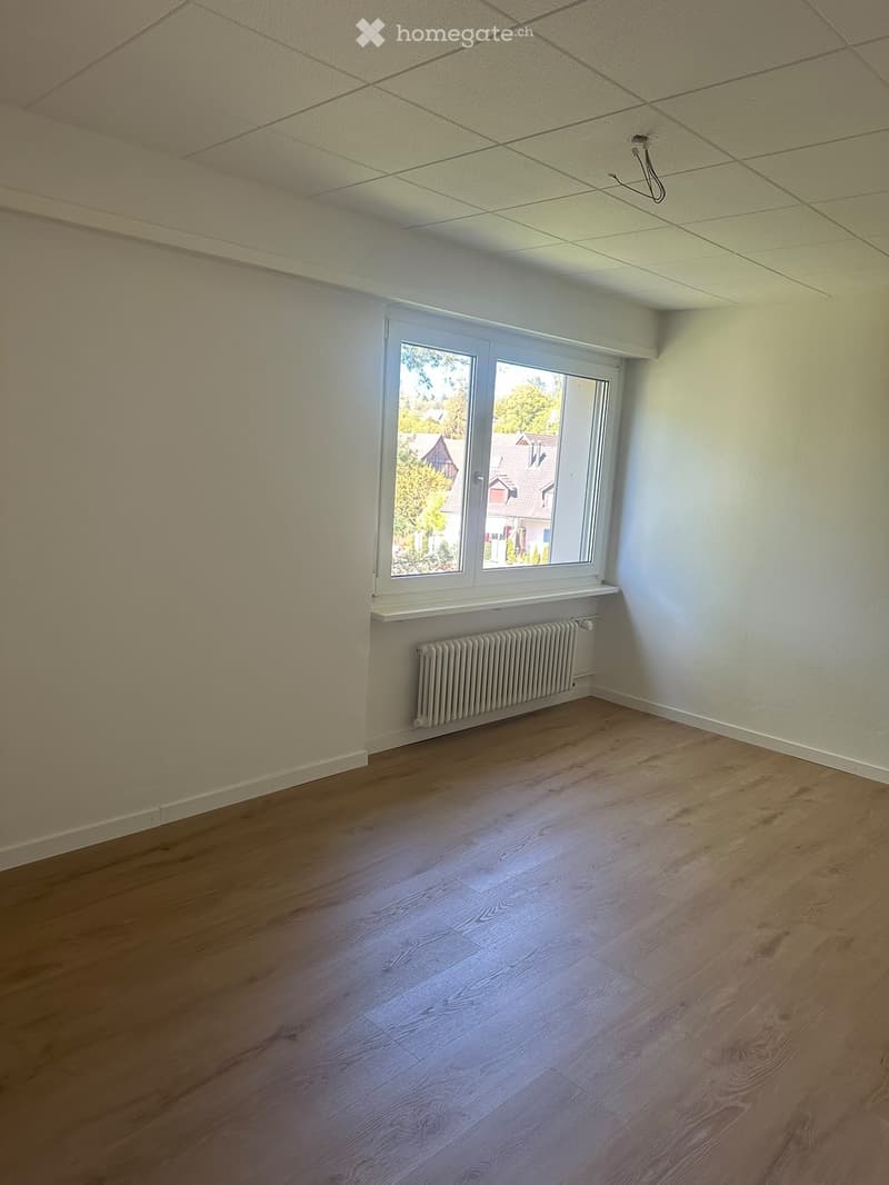 Zimmer in Steinmaur (1)