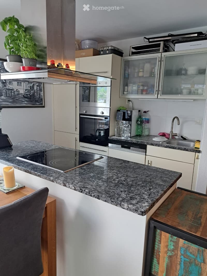 Magnifique appartement de 4,5 pièces grande terrasse de 35m2 (4)