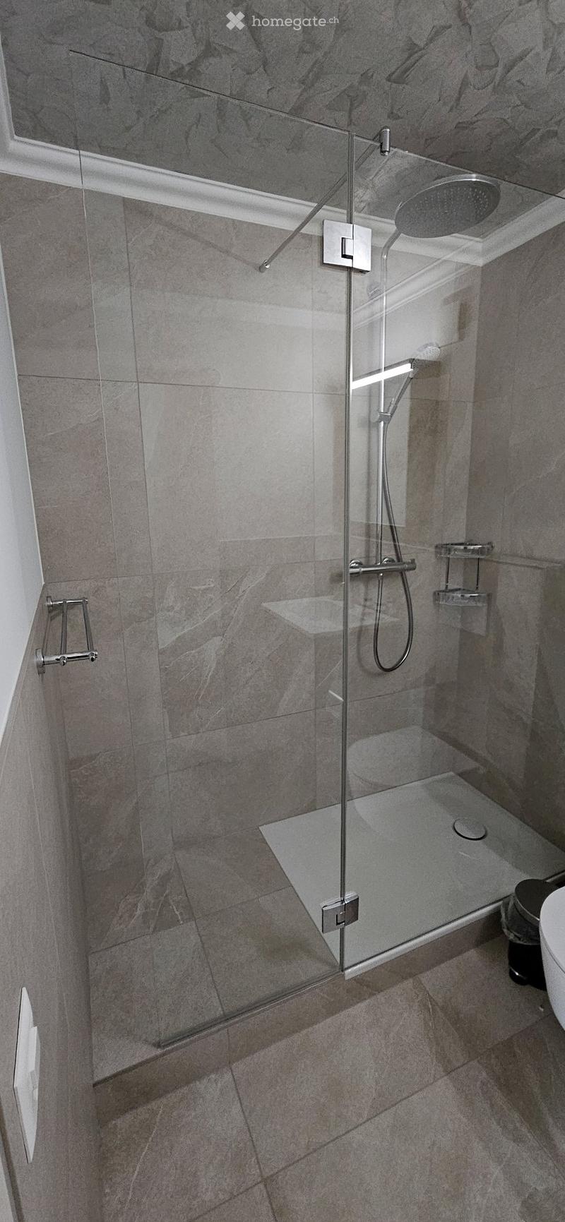 Lichtdurchflutete 5½-Zimmer-Dachgeschosswohnung (4)