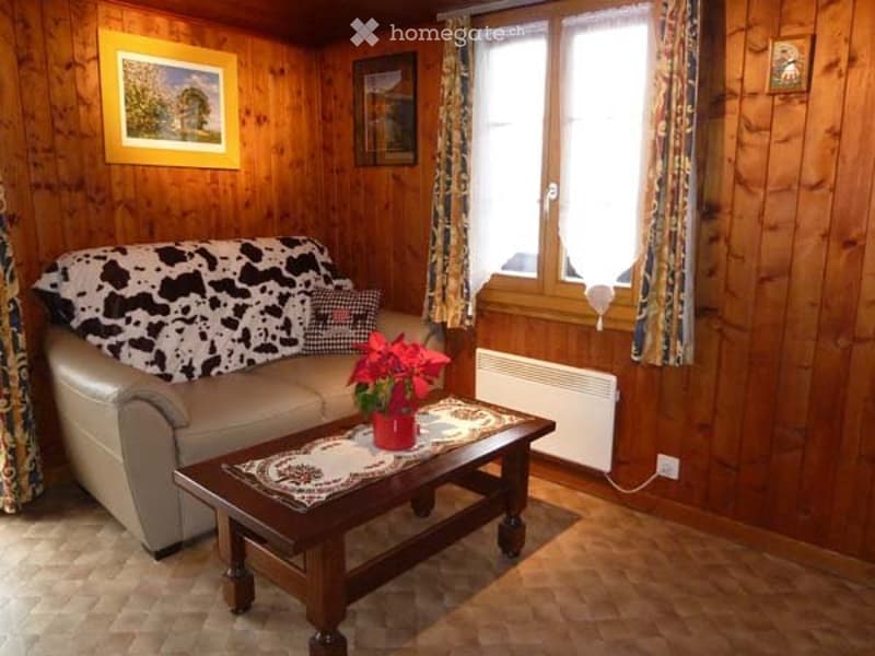 A louer - Chalet meublé (3)