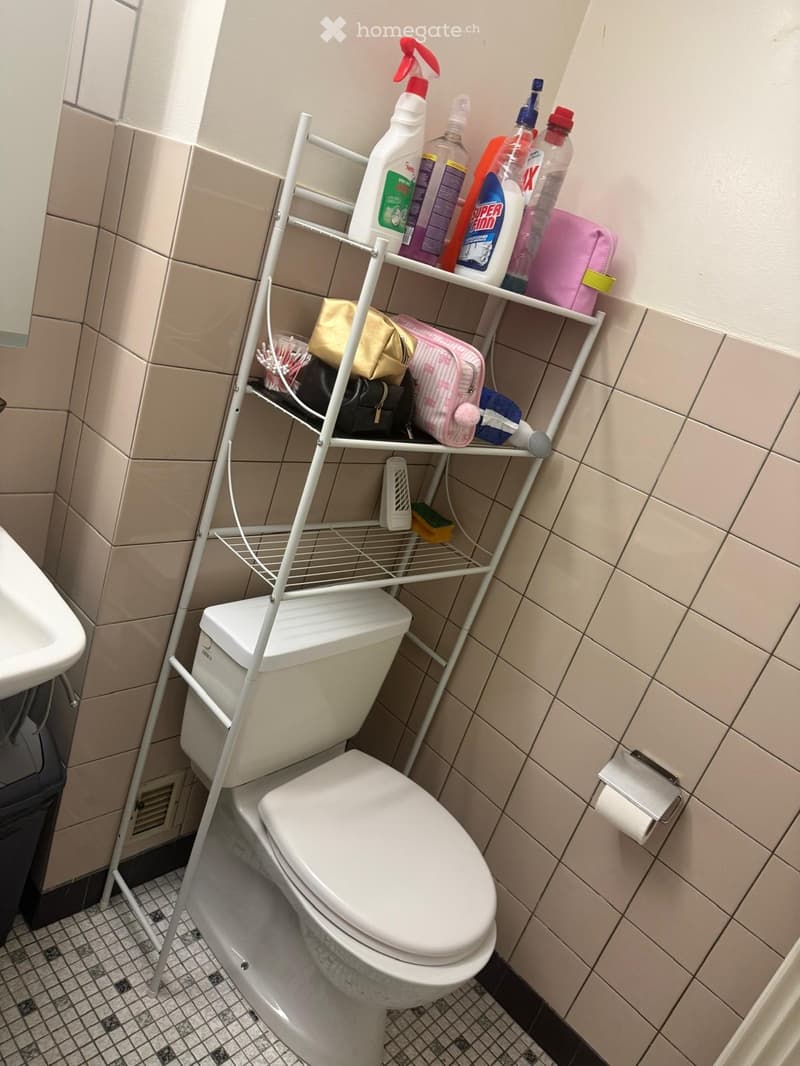 Appartement Urgent 2,5 pièces (3)