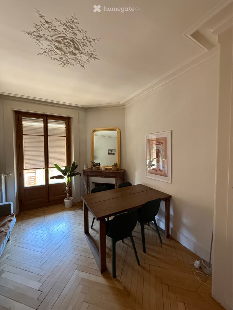 Appartement meublé, 3 pièces, courte ou longue durée (5)