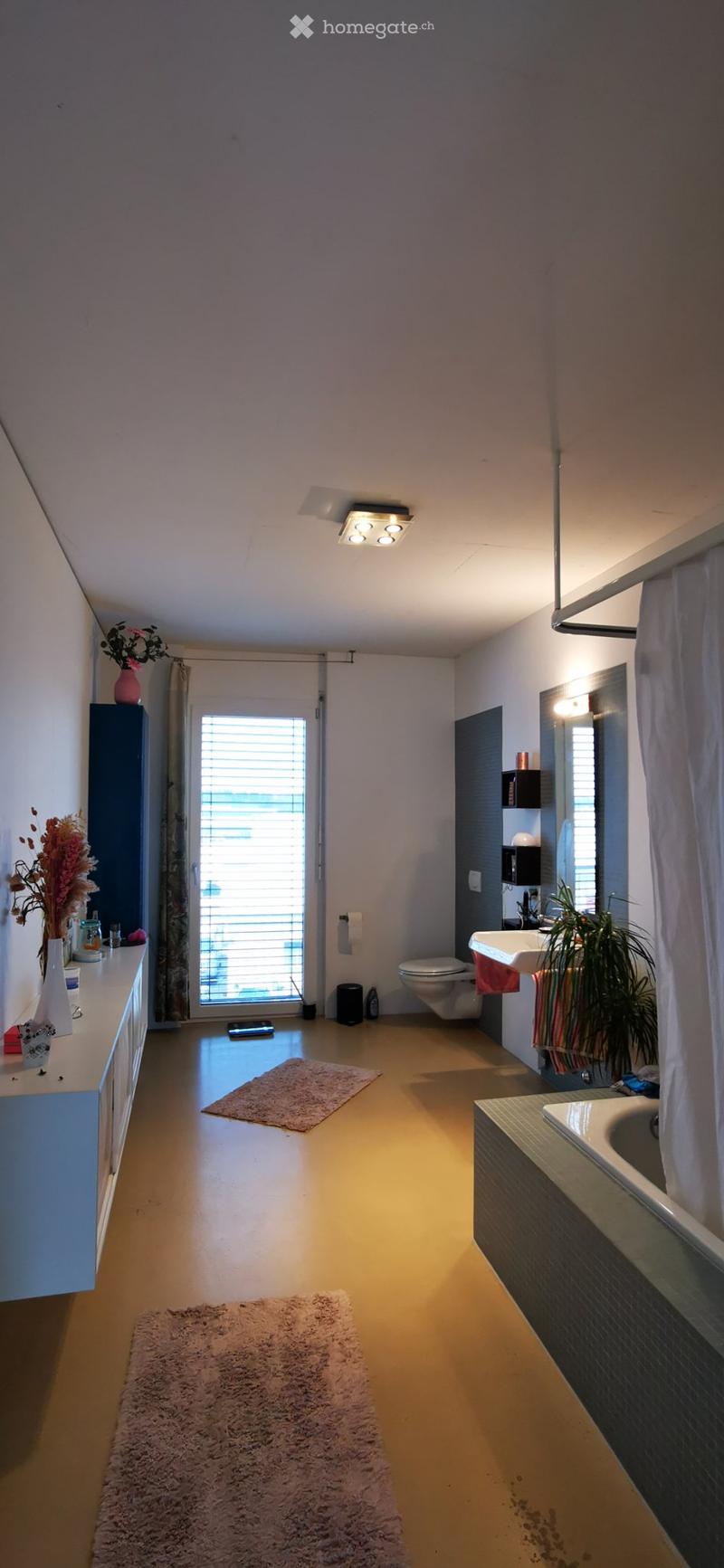 Grosszügige 3,5 Zimmer-Loftwohnung (4)