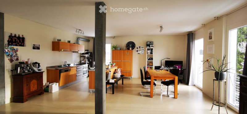 Grosszügige 3,5 Zimmer-Loftwohnung (2)