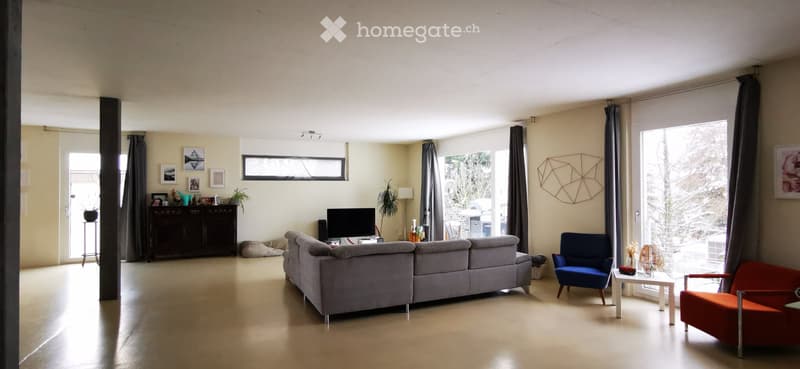 Grosszügige 3,5 Zimmer-Loftwohnung (1)