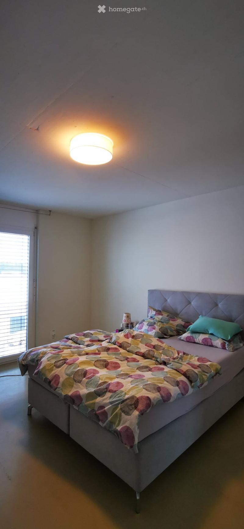 Grosszügige 3,5 Zimmer-Loftwohnung (3)