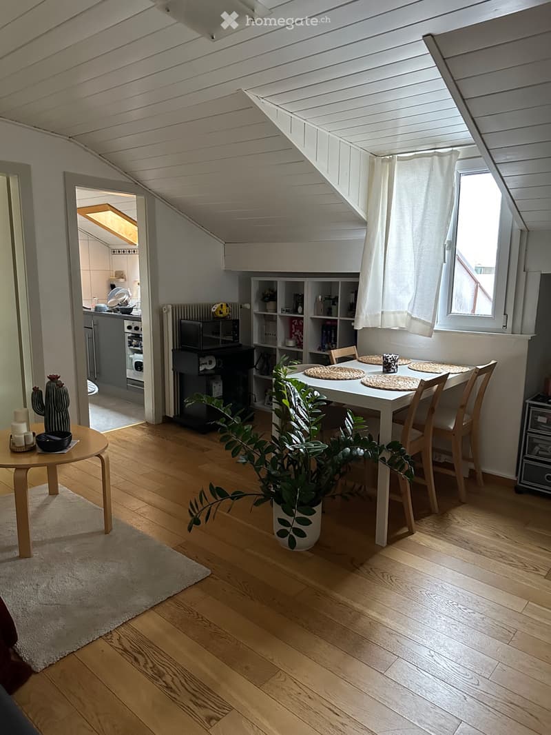 Sion, charmant appartement rénové et meublé, sous les toits (2)