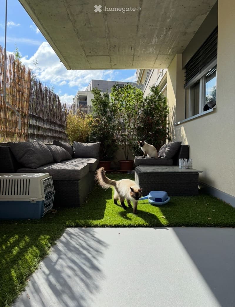 Appartement (2)
