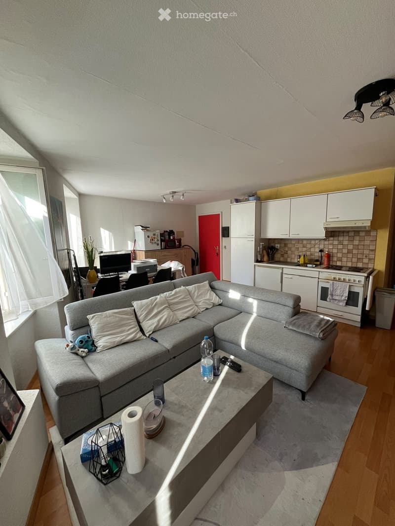 Appartement 2 pièces (2)