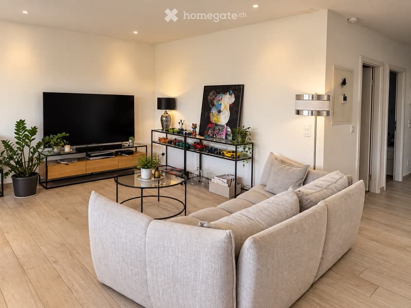 Magnifique appartement à louer (5)