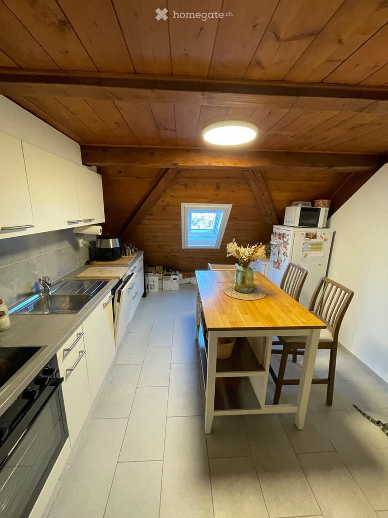 Reprise de bail - Charmant appartement avec vue sur le lac (3)