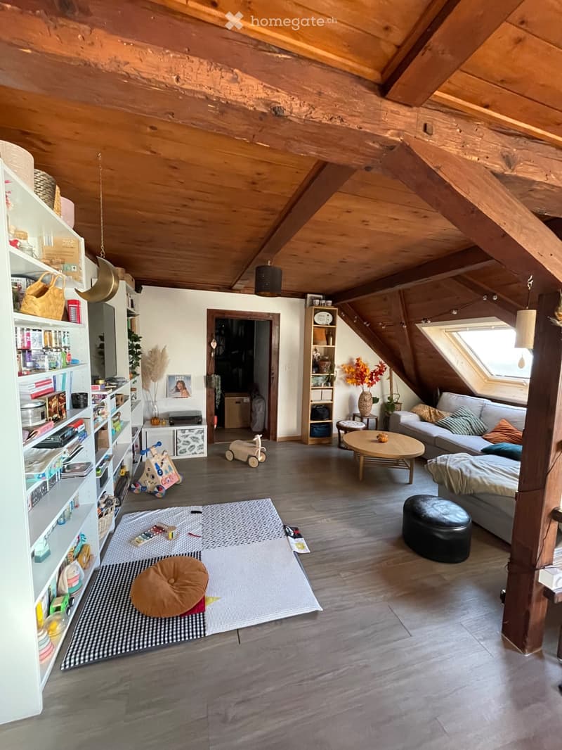 Reprise de bail - Charmant appartement avec vue sur le lac (1)