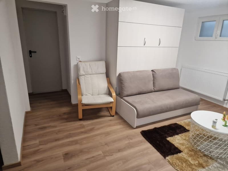 STUDIO À REPRENDRE  ONNENS (FR) (3)