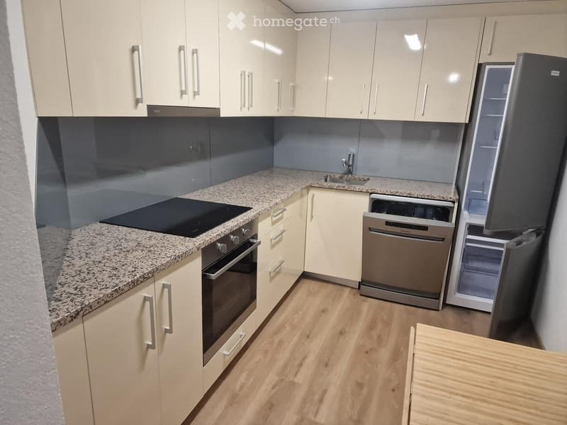 STUDIO À REPRENDRE  ONNENS (FR) (4)