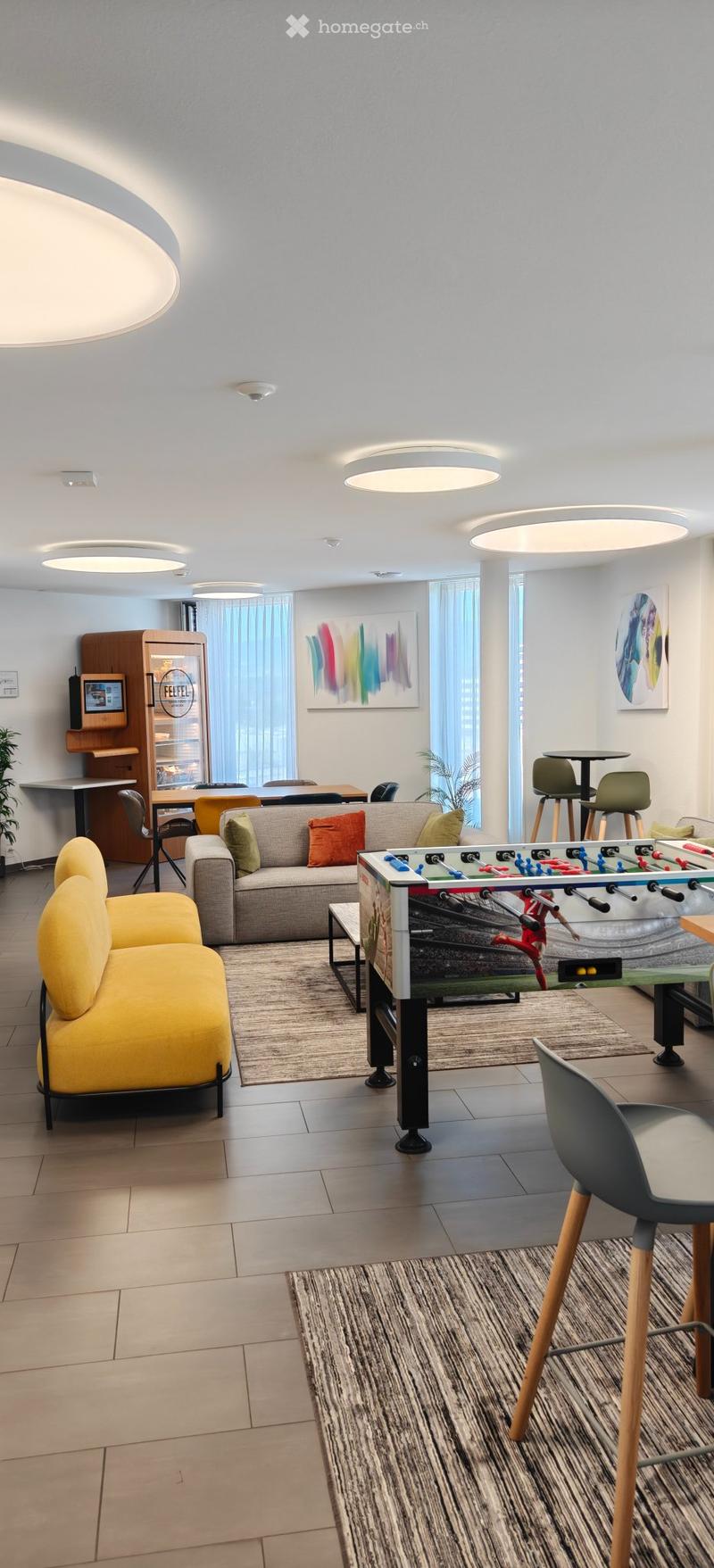 Studio spacieux et meublé à Crissier, charges comprises (5)