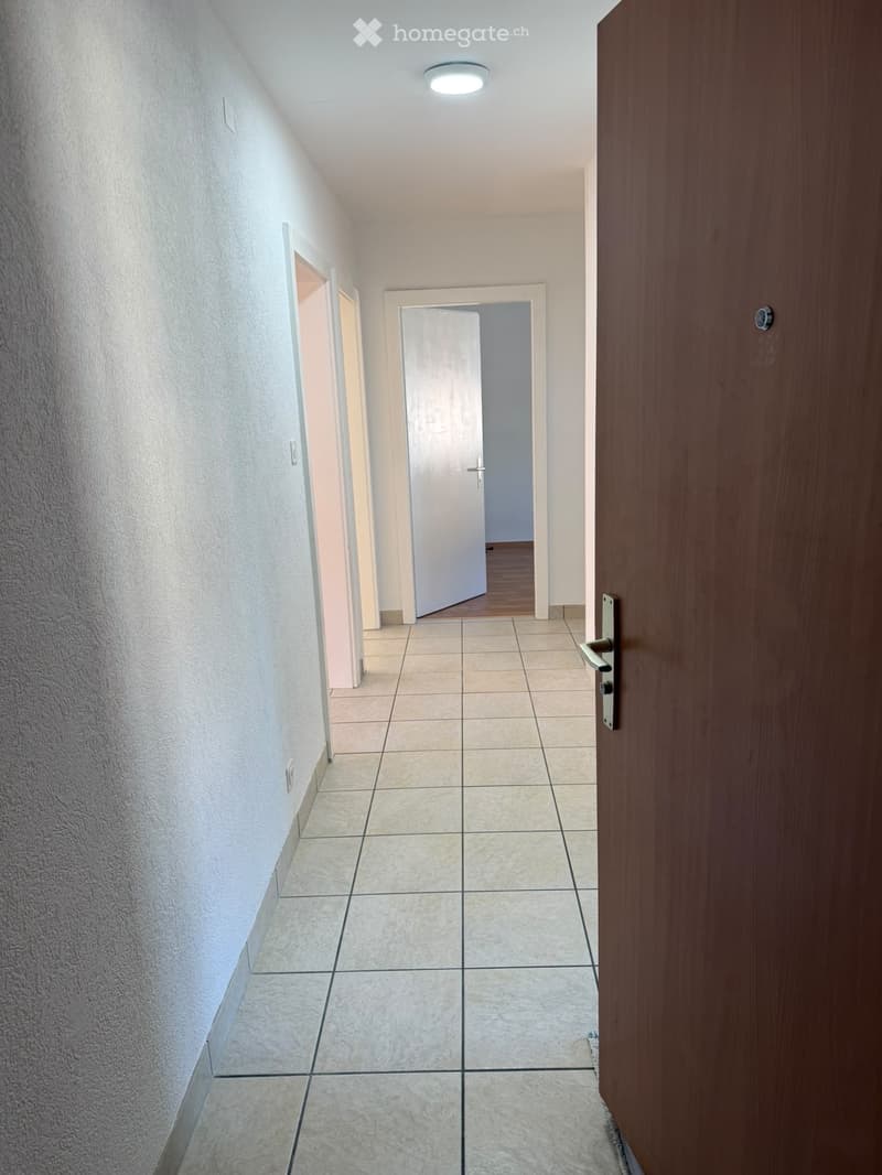 Bel appartement tout juste rénové au coeur de St-Maurice (3)