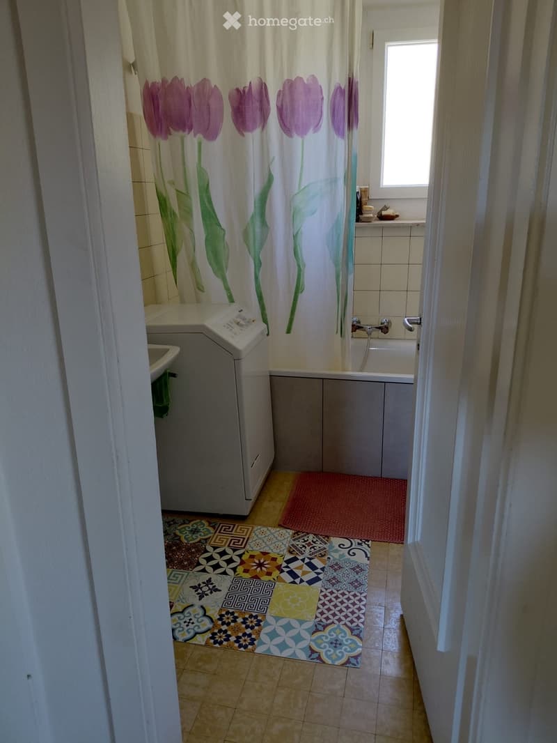 Lumineux appartement de 4 pièces à côté du Muzoo (5)