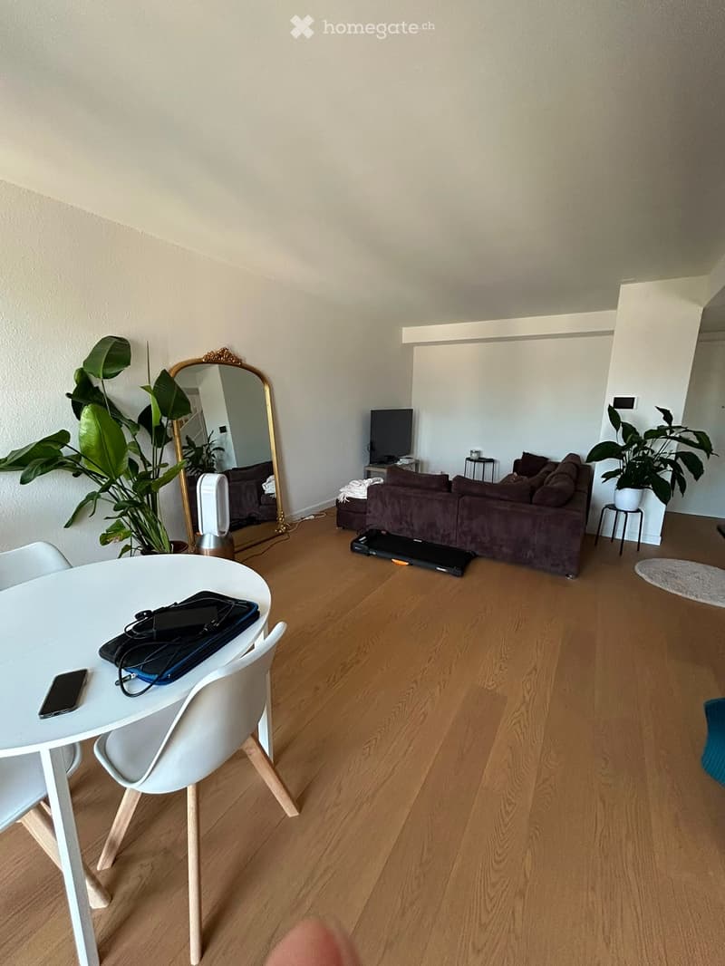 Élégant 4 pièces neuf au cur de Genève  Rue de Rive (4)