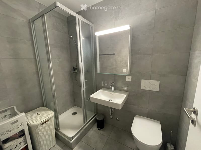 Appartement récent 3.5 pièces avec vue à Nyon (3)