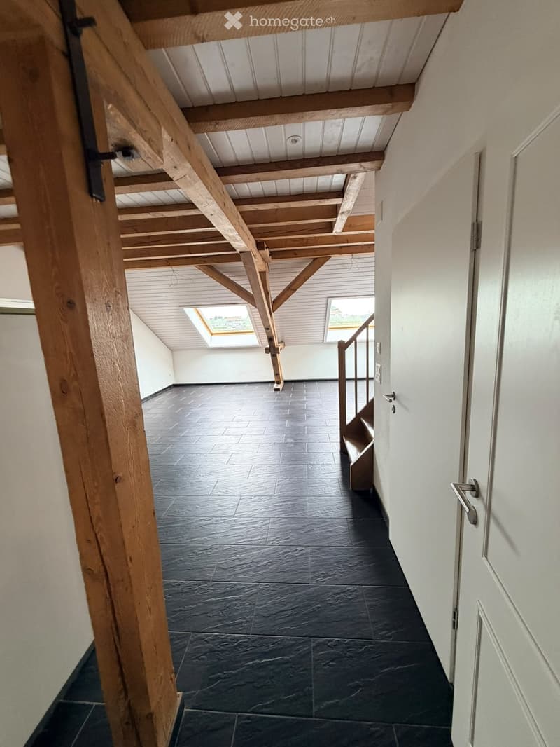 À LOUER SOUS-LOCATION DURÉE DÉTERMINÉE (1 AN RENOUVELABLE) (3)