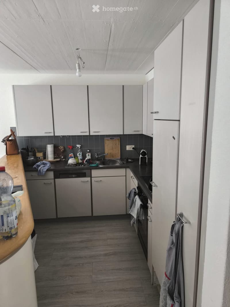 Appartement lumineux 3 pièces 67 m2 (4)