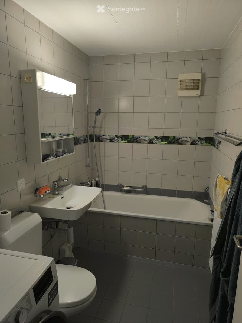 Appartement lumineux 3 pièces 67 m2 (3)