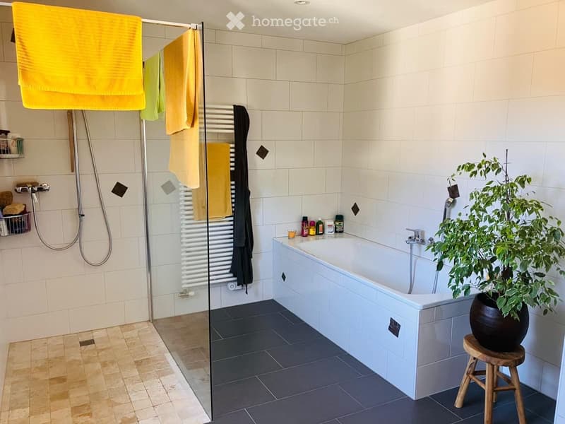 À LOUER  Appartement dans une maison jumelée à Coeuve (4)