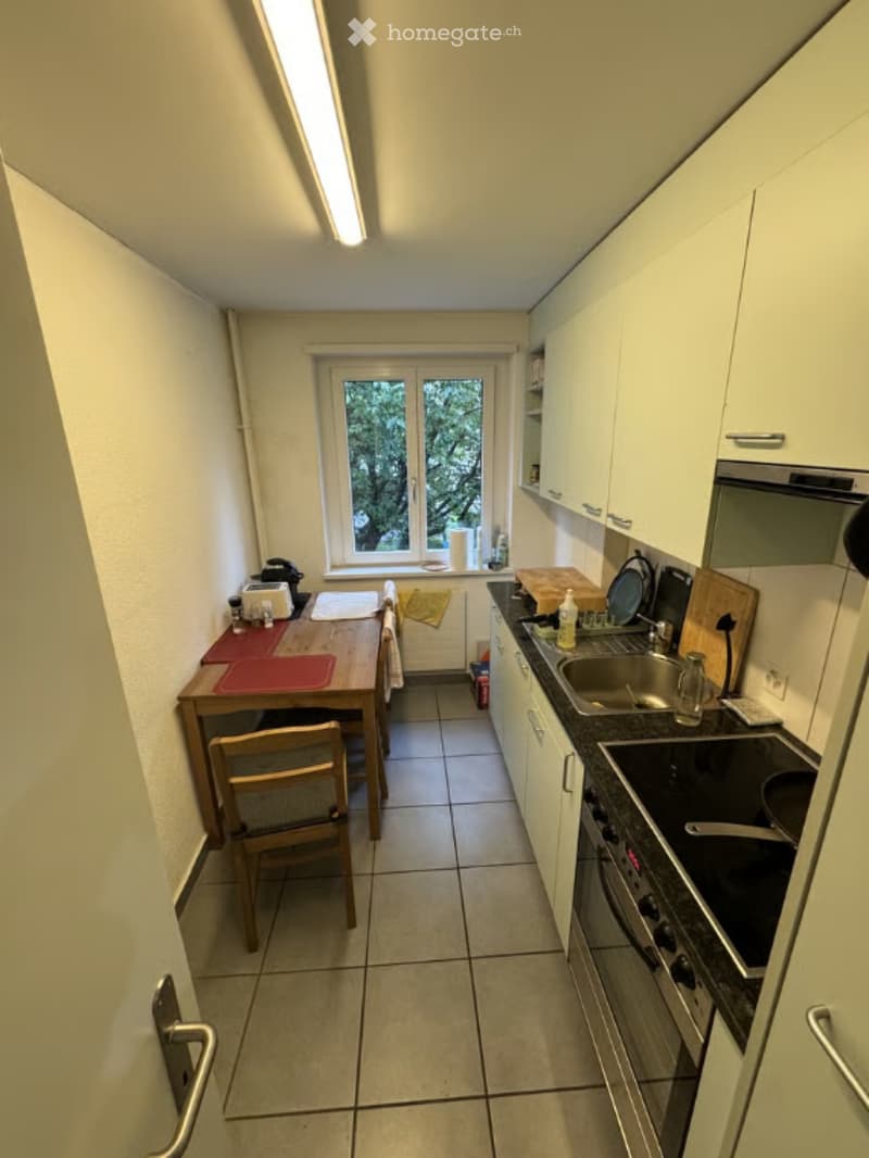 Studio 20m² meublé centre Zurich calme, verdoyant (3)