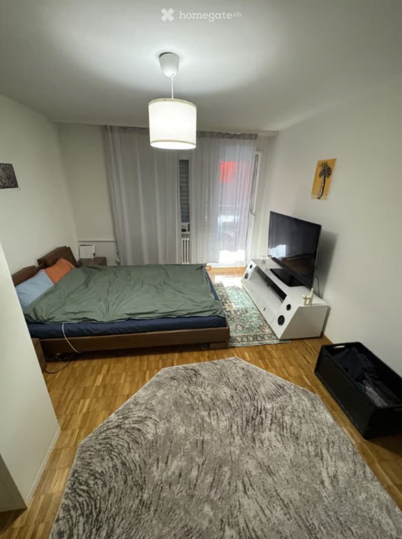 Studio 20m² meublé centre Zurich calme, verdoyant (4)