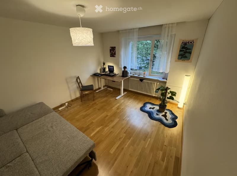 Studio 20m² meublé centre Zurich calme, verdoyant (2)