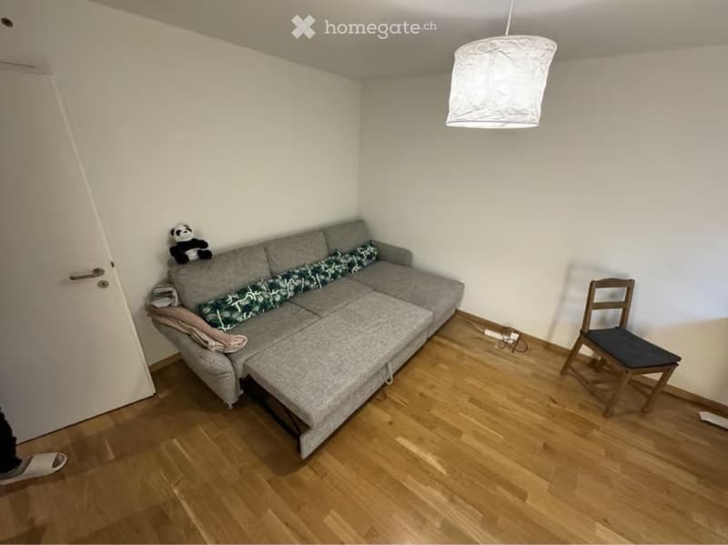 Studio 20m² meublé centre Zurich calme, verdoyant (1)