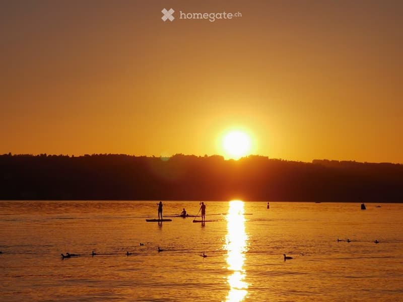 Renting rooms at the beautiful Goldcoast Lake Zurich Area (4)