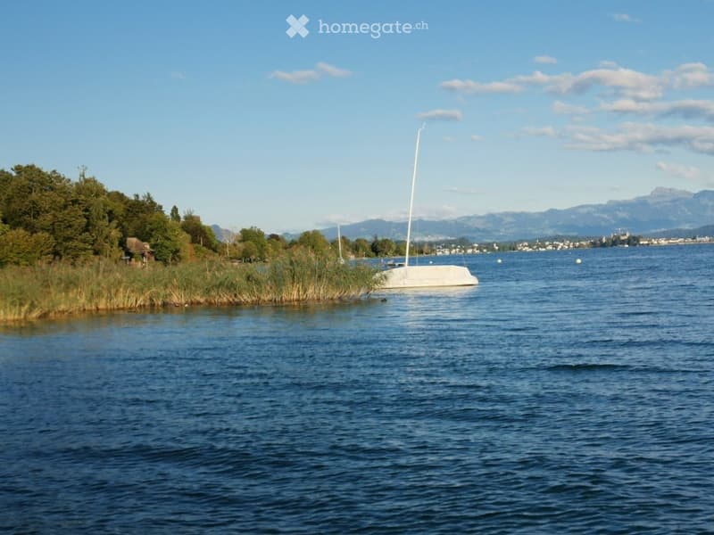 Renting rooms at the beautiful Goldcoast Lake Zurich Area (5)