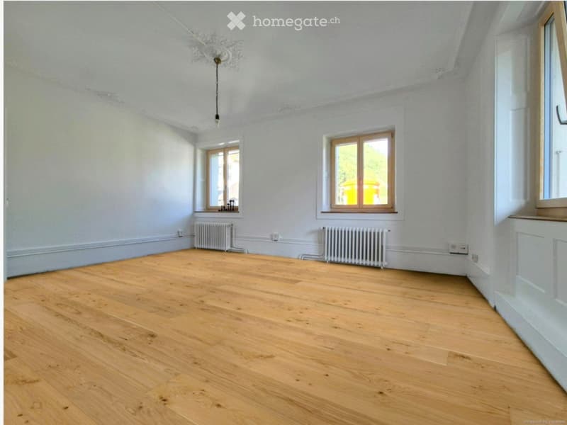 Duplex 4.5 pc, jardin, balcon Élec. & charges incluses (1)