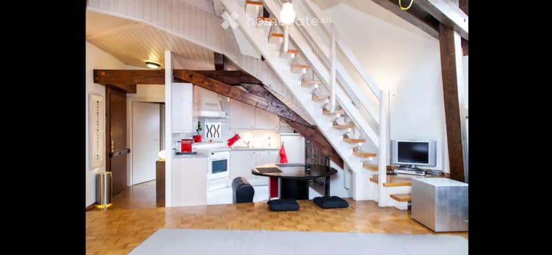 Lake view rooftop furnished duplex in Eaux-Vives/Geneva (2)