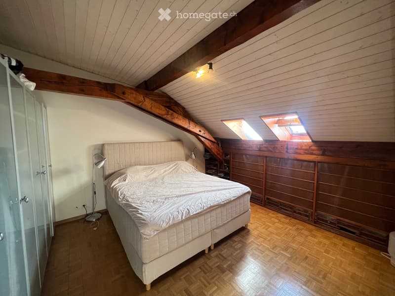 Lake view rooftop furnished duplex in Eaux-Vives/Geneva (4)