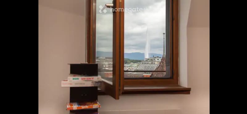 Lake view rooftop furnished duplex in Eaux-Vives/Geneva (5)