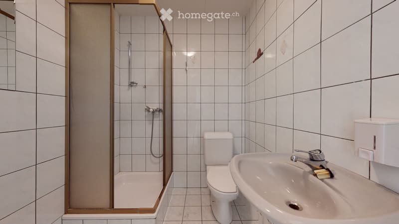 A louer bel appartement mansardé de 3.5 pièces traversant (5)