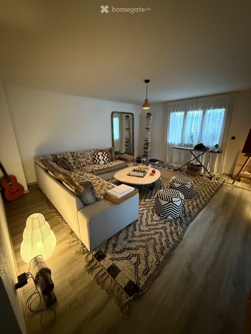 Chambre privée - Magnifique appartement vue Lac (3)