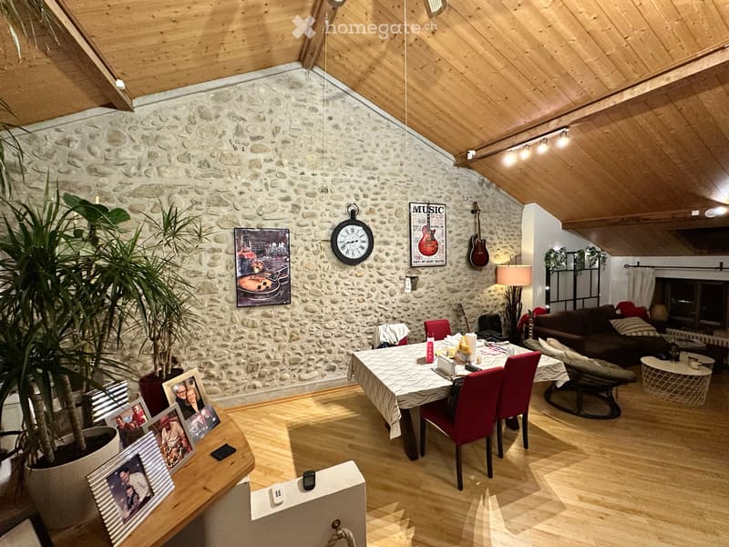 Location appartement duplex (1)