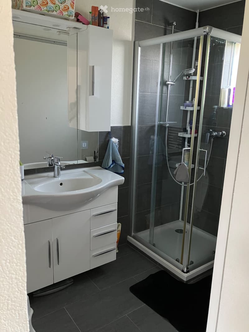 Joli appartement de 2,5 pc avec terrasse et jardin privatifs (3)