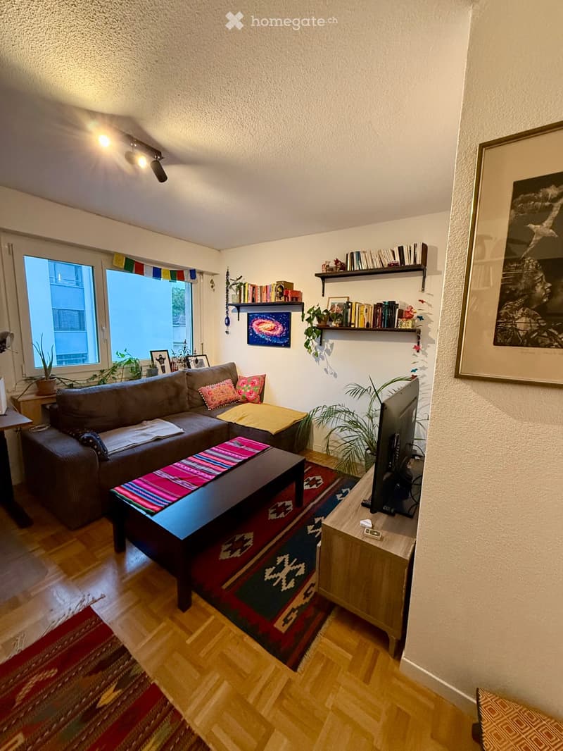Appartement de 2,5 pièces à Montelly (1)