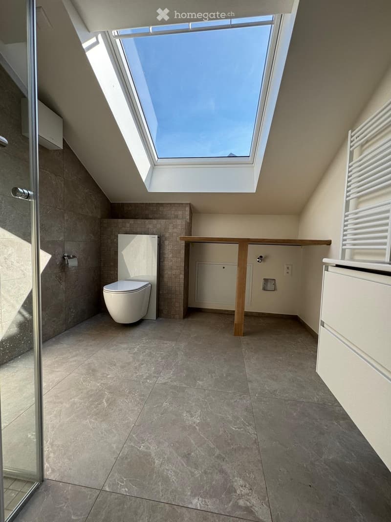 Appt.  3 pcs de standing au 2e - grande terrasse avec vue (8)