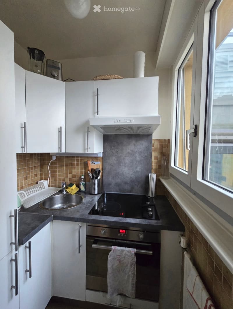 Location appartement eaux vives 5min à pied du lac (3)