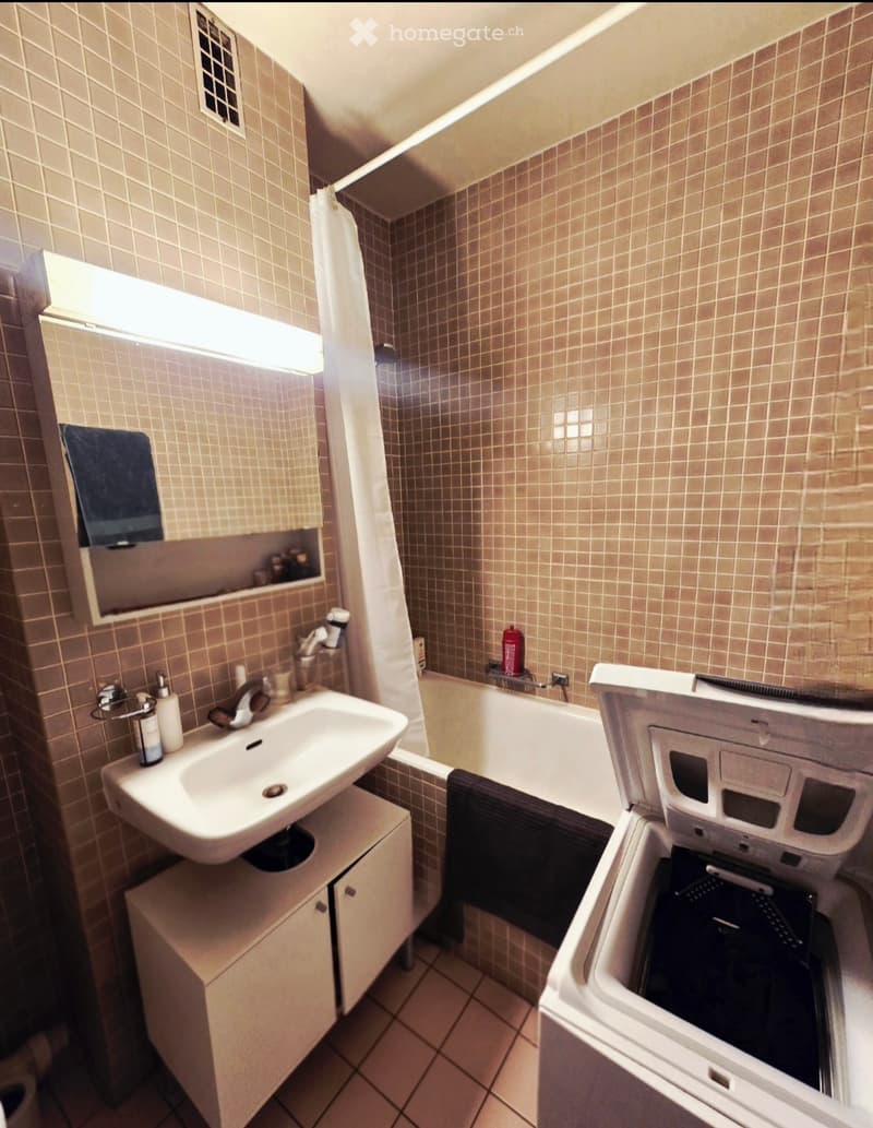 Location appartement eaux vives 5min à pied du lac (2)