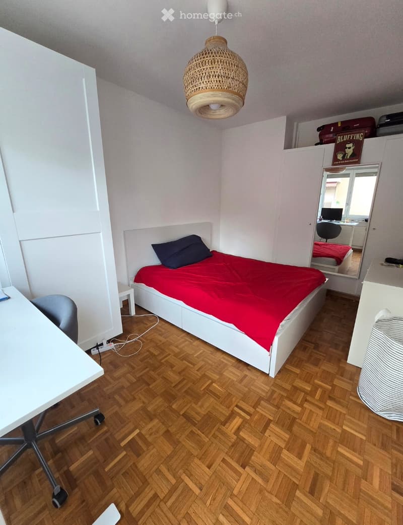 Location appartement eaux vives 5min à pied du lac (5)