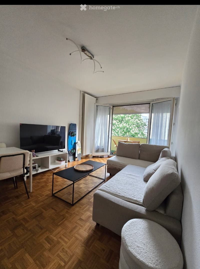 Location appartement eaux vives 5min à pied du lac (4)