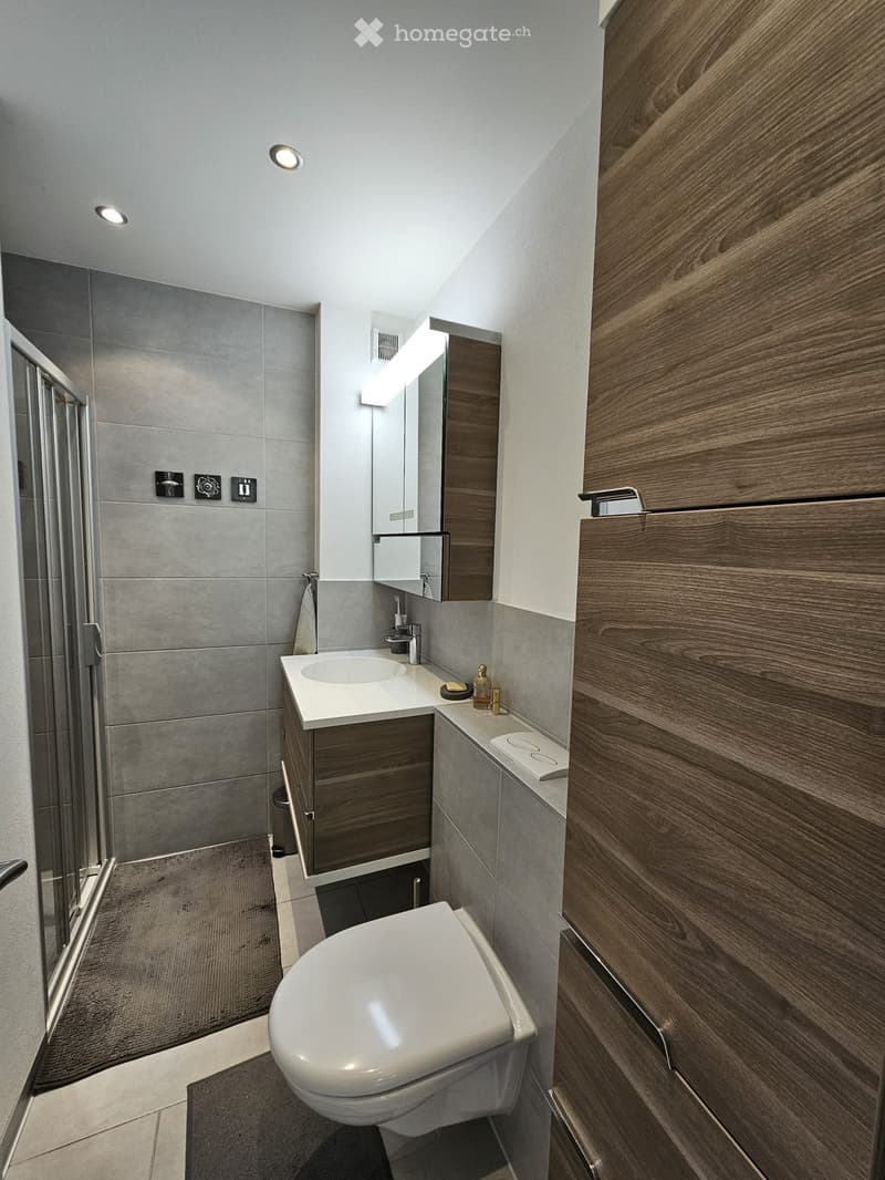 CHARMANT APPARTEMENT FAMILIAL AVEC JARDIN - PROCHE DU CENTRE (3)