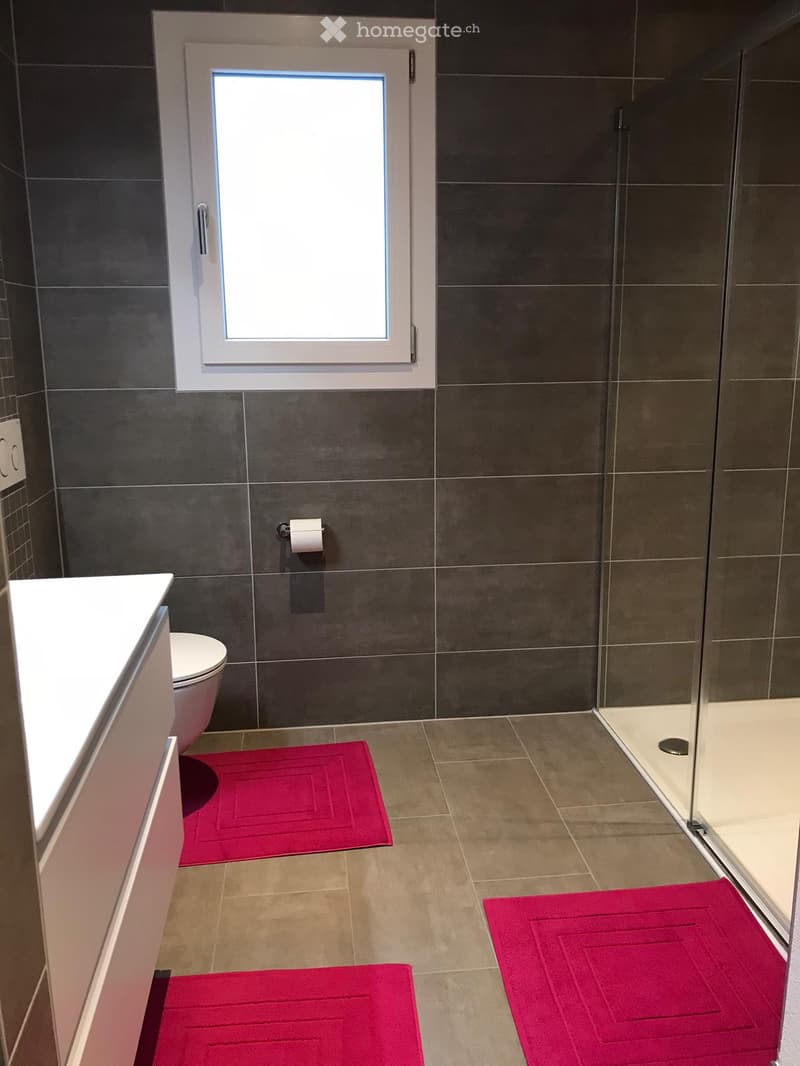 Appartement Duplex 3.5 à Bulle (5)